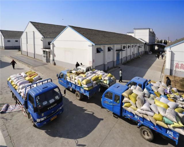 迎接第39個世界糧食日,市糧食收儲中心這樣做&hellip;