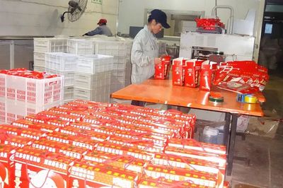 首批省示范！沛縣這5家農業產業化聯合體表現搶眼，資金證明助力發展